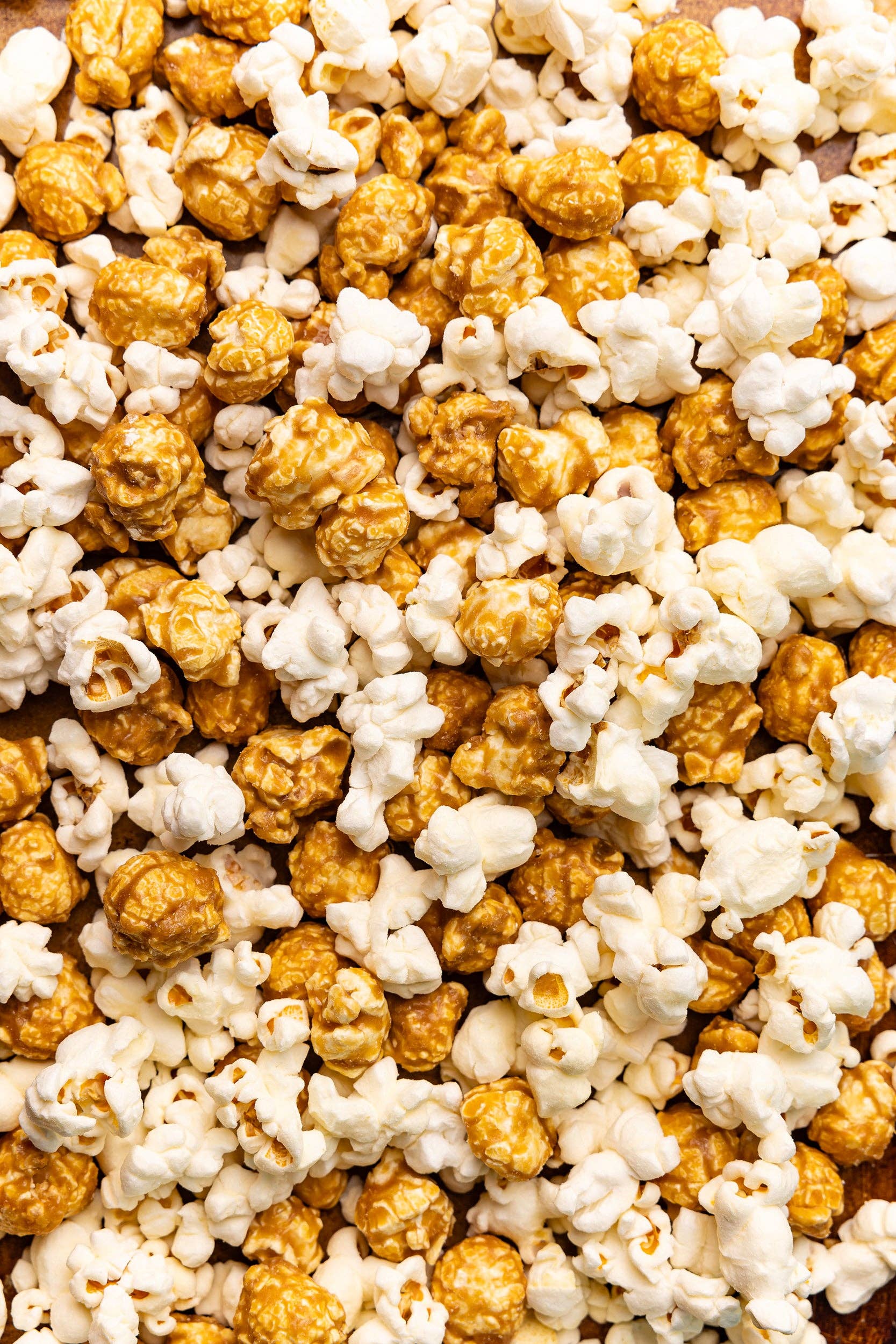 Popcorn Asheville Mix Artist Bag